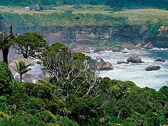 Misty Waters, New Zealand